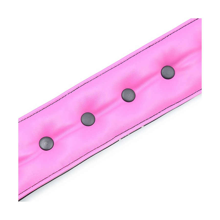 Collier Laisse Rose