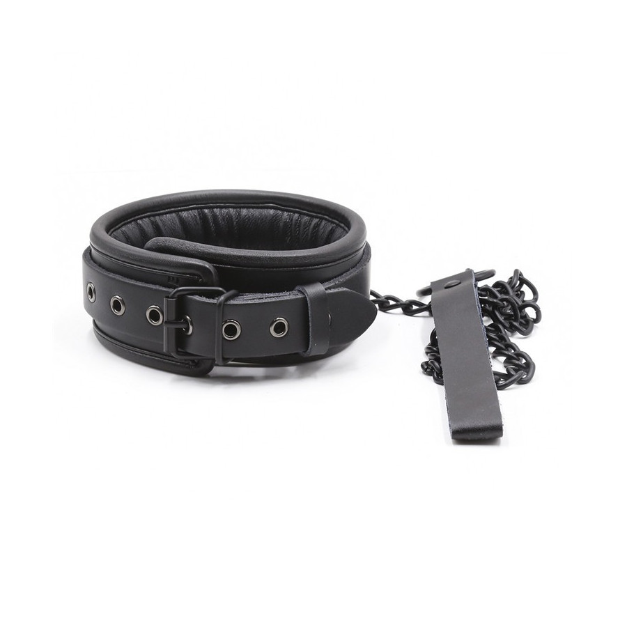 Collier Epais + Laisse
