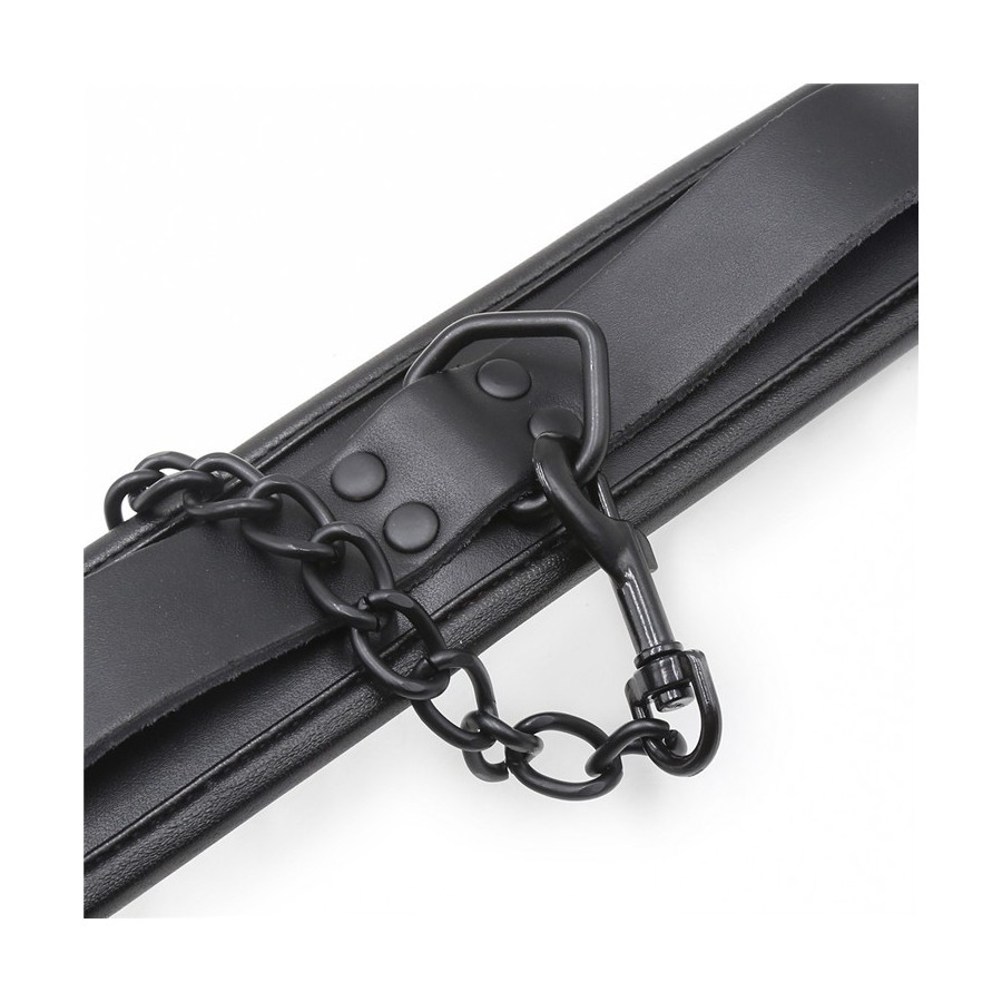 Collier Epais + Laisse