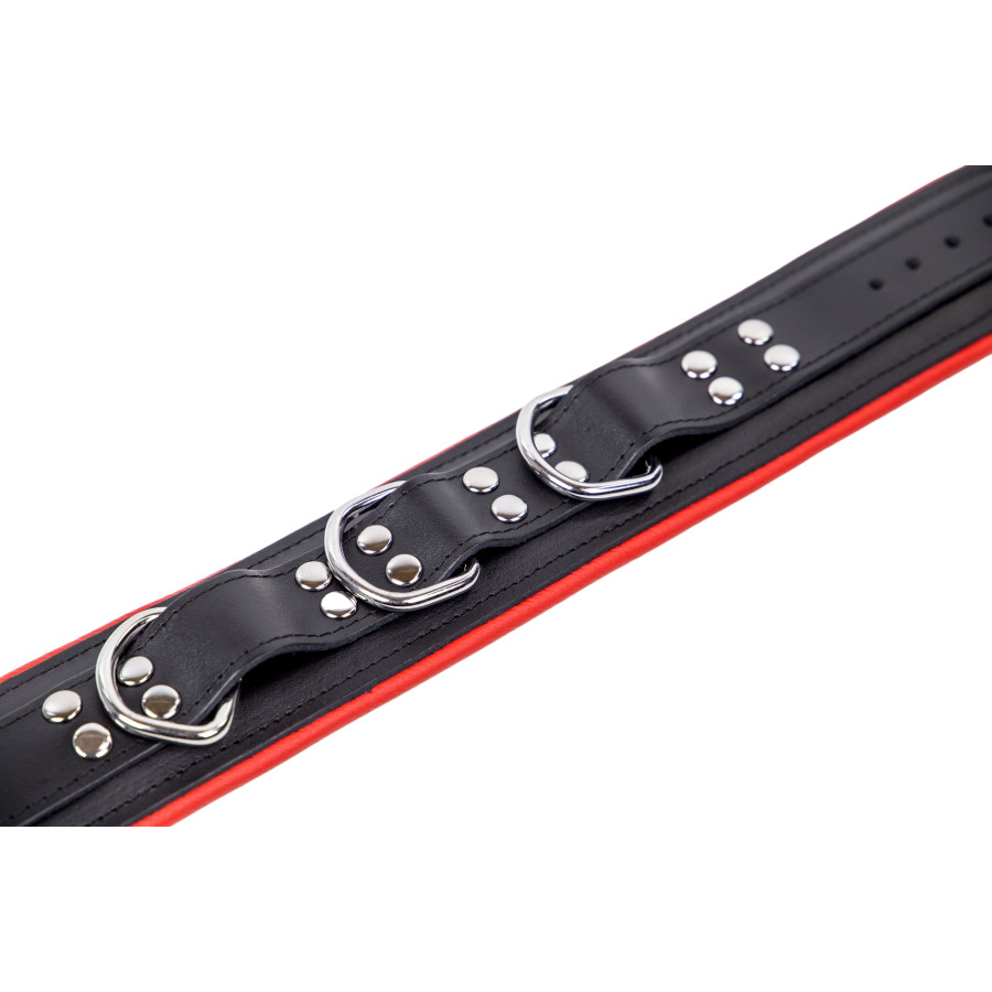 Collier en cuir rembourré avec 3 anneaux D Rouge