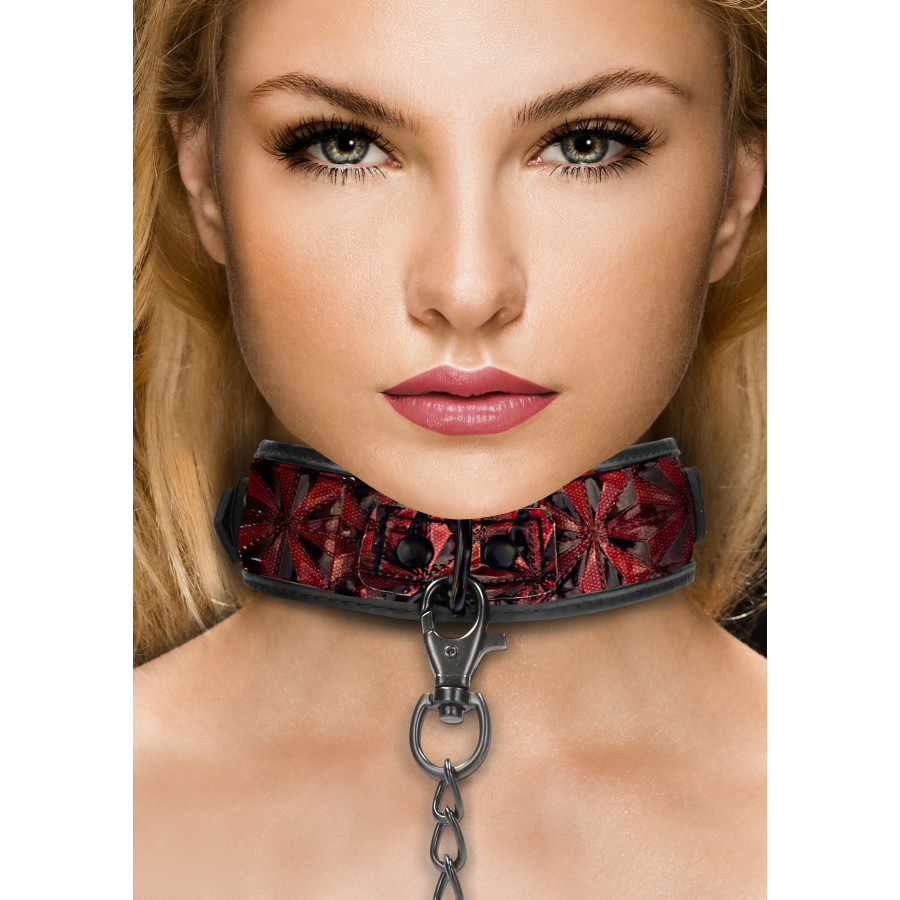 Collier et Laisse Luxury Rouge