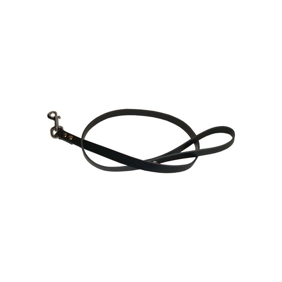 Laisse en cuir Dog 1m