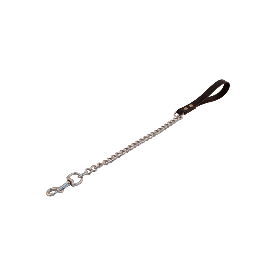 Laisse Dog avec Chaîne de 45cm