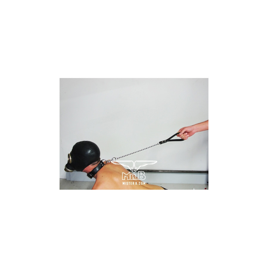 Laisse Dog avec Chaîne de 45cm