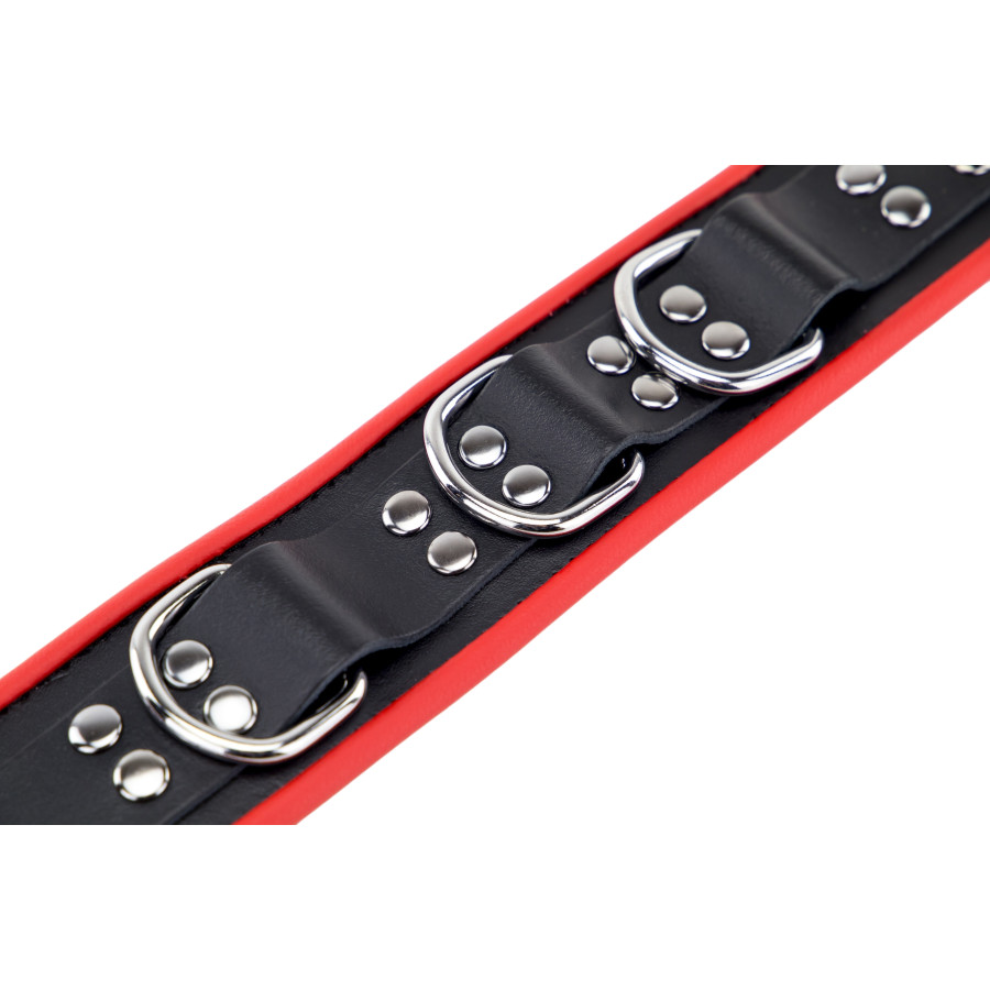 Collier en cuir avec 3 Anneaux D Rouge