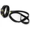 Collier et Laisse Lighty Noir