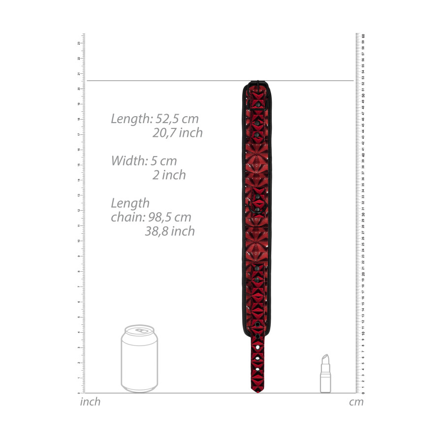 Collier et Laisse Luxury Rouge