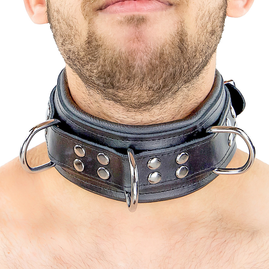 Collier rembourré en cuir avec Anneaux D Noir 