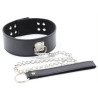 Collier et Laisse Pin Lock Noir