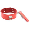 Collier et Laisse Pin Lock Rouge