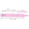 Collier et Laisse Fur Rose