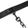 Collier et Laisse Ball Top Noir