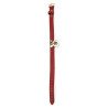 Collier et Laisse Sclave Rouge