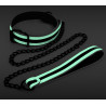 Collier-Laisse fluorescente Glo 75cm