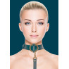 Collier-Laisse Halo Col Bleu