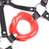 Baillon SM Lips et Harnais
