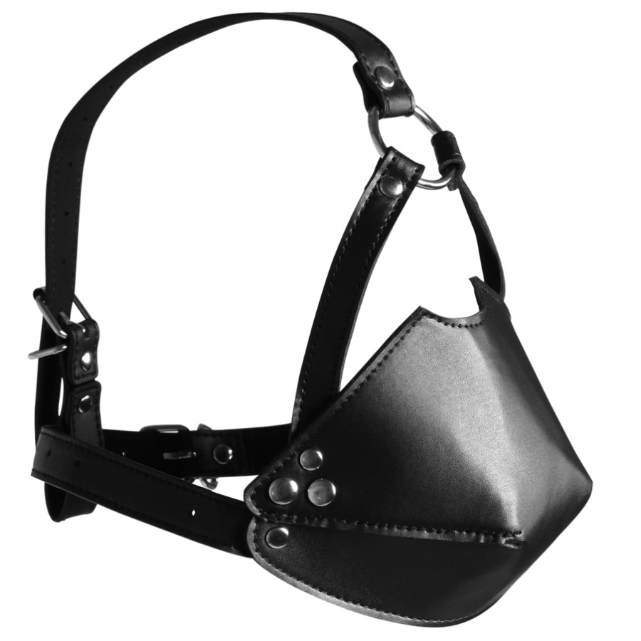 Muselière avec Bâillon Head Harness Noire