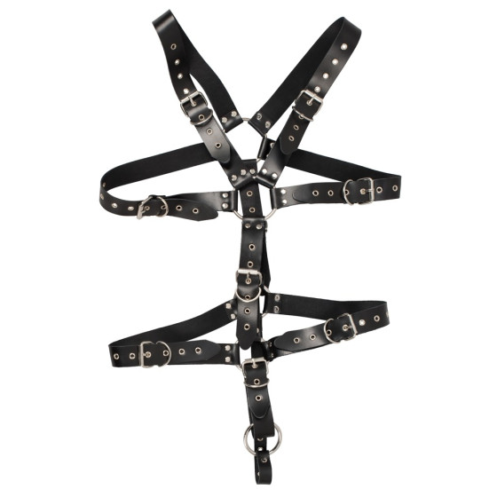 Harnais Complet en Cuir avec Anneau Pénien Leathercock S/L