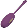 Oeuf Vibrant Électro Connecté Doreen 2 7.5 x 3.4cm Prune