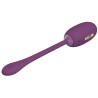 Oeuf Vibrant Électro Connecté Doreen 2 7.5 x 3.4cm Prune