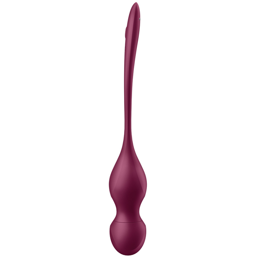 Love Birds Vary - Connect App Pelvic Floor Training - Wine Red