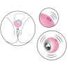 Stimulateur de Clitoris Verve