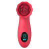 Stimulateur de Clitoris Flowerclit