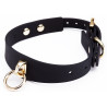 Collier Laisse Luxury Gold