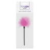 Mini Plumeau Sexy Feather 22cm Rose
