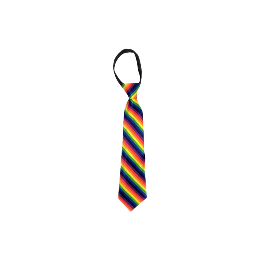 Rainbow tie with elastic 35cm