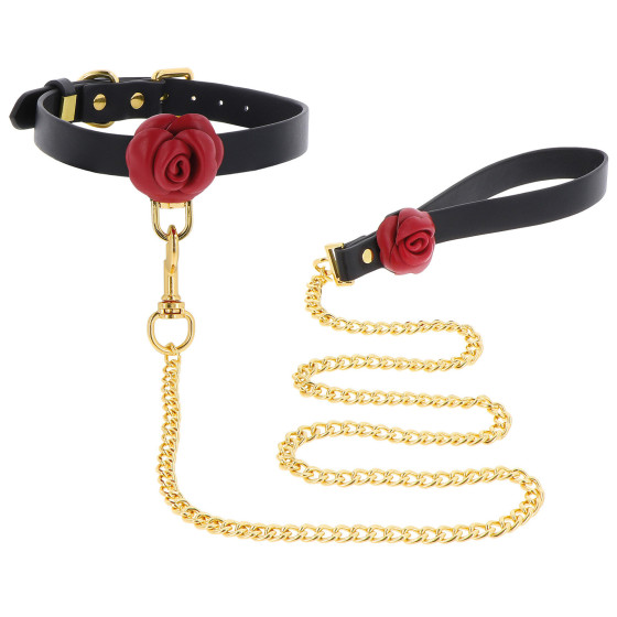 Wild Roses collar and lead