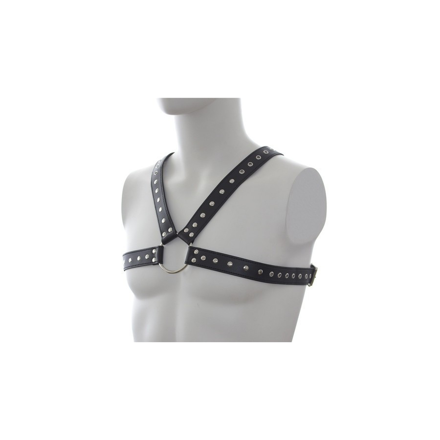 Harnais SM Stud Chest Harnais SM Stud Chest