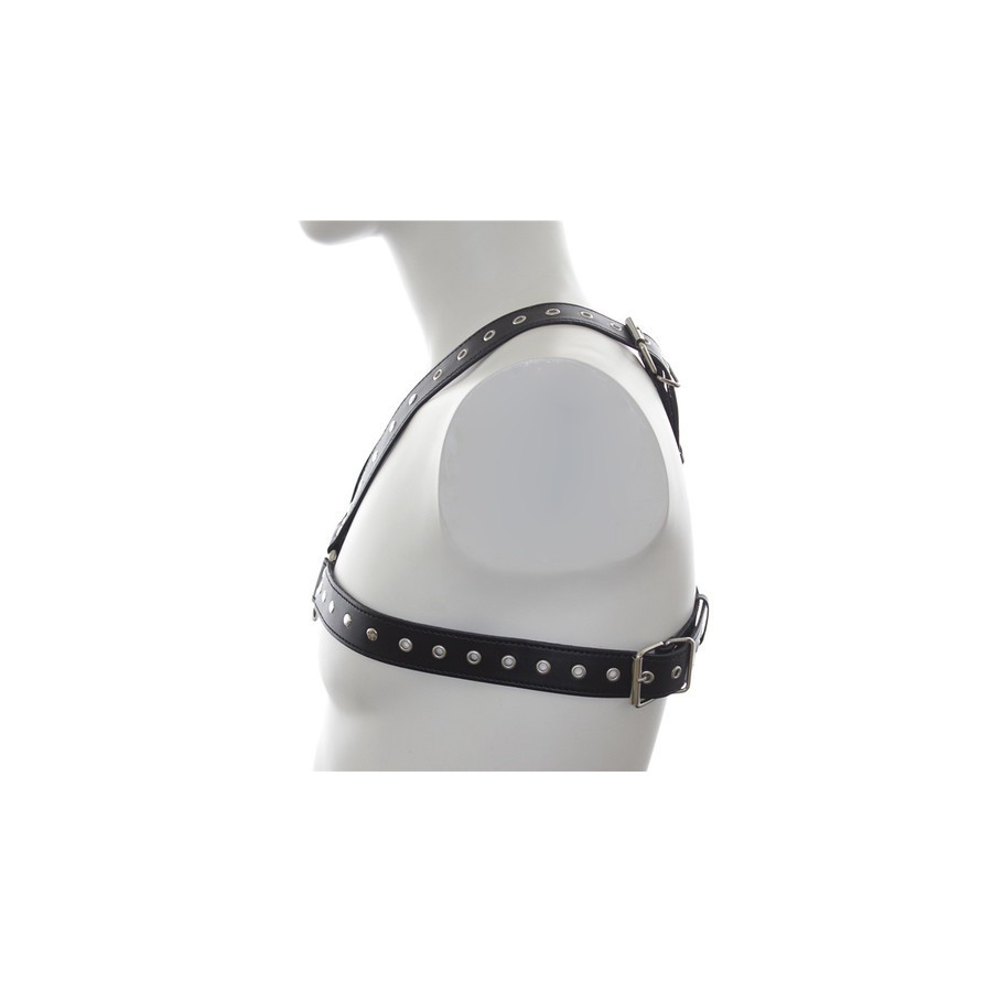 Harnais SM Stud Chest
