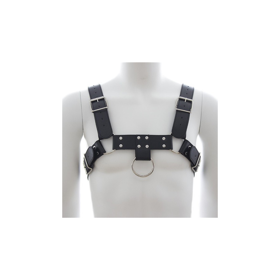 Harnais SM Upper Body Chest