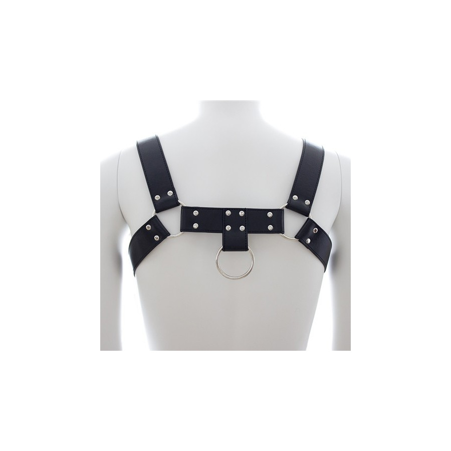 Harnais SM Upper Body Chest