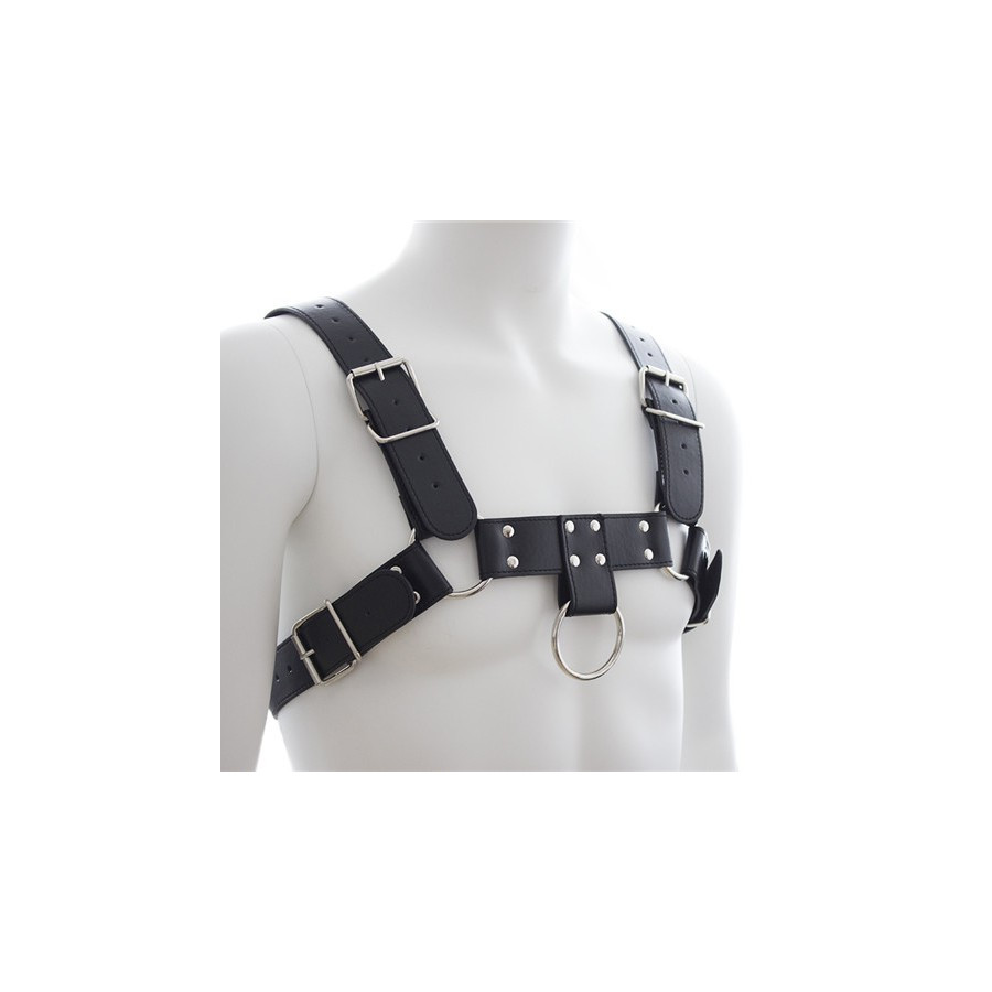 Harnais SM Upper Body Chest