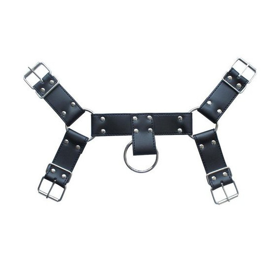 Harnais SM Upper Body Chest