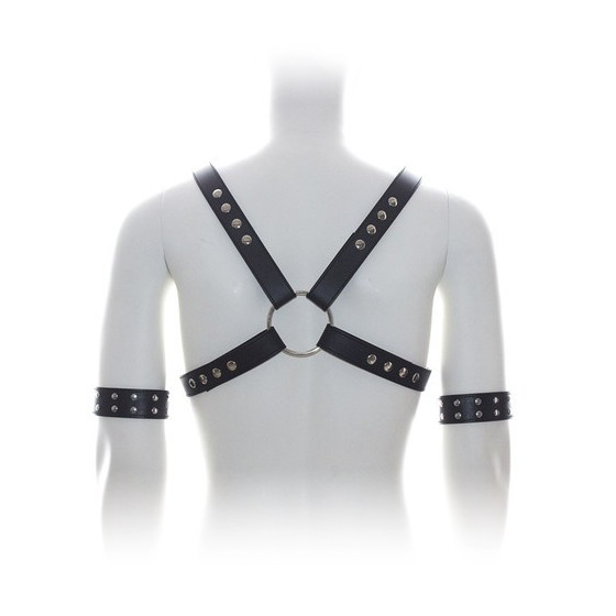 Harnais SM Cross Male Chest