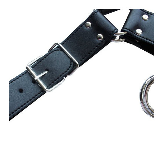 Harnais SM Upper Body Chest