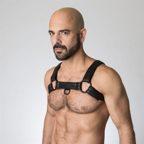 Harnais Bulldog en néoprène Noir