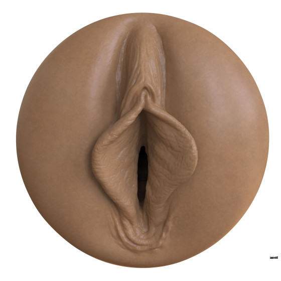 Masturbateur Fleshlight Boost Bang Dark
