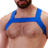 Harnais en élastique Matt Bleu