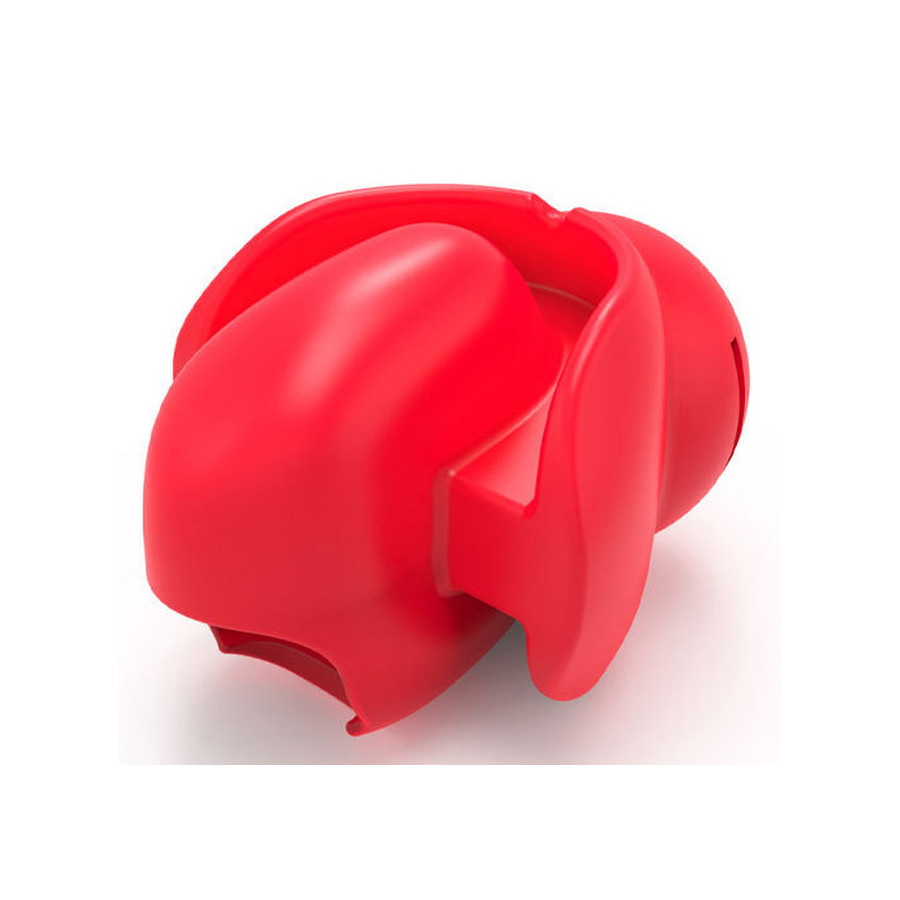 Bâillon Fix Tongue Rouge