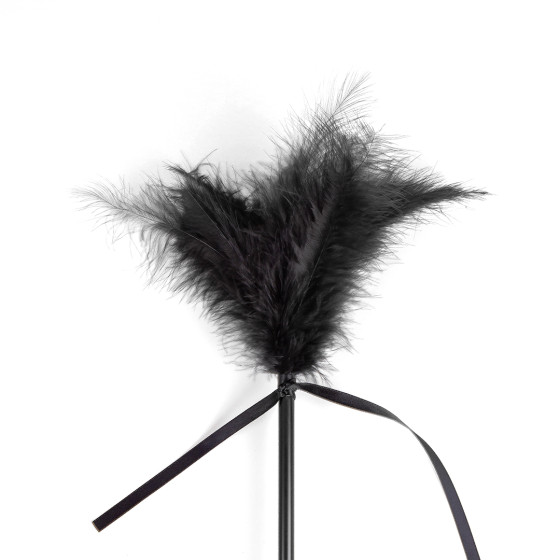 Cravache et Plumeau Secret Touch 50cm Noir
