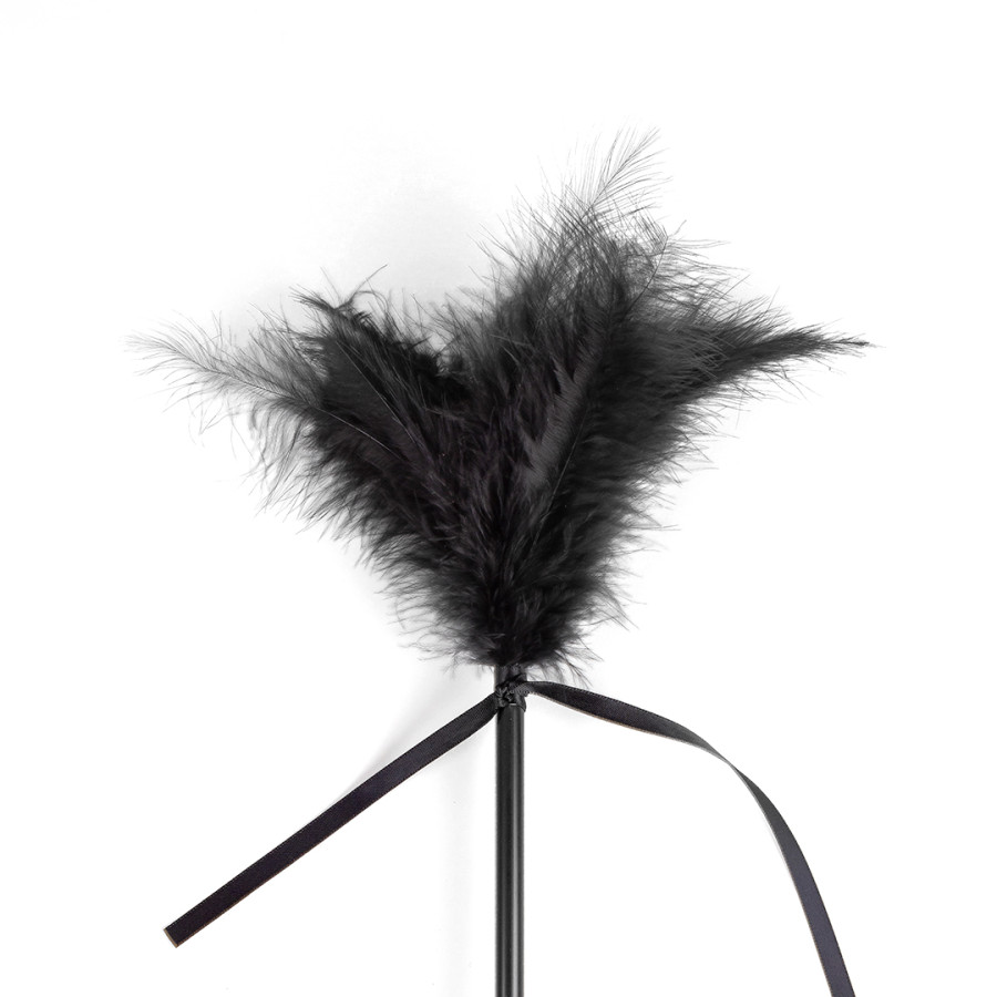 Cravache et Plumeau Secret Touch 50cm Noir