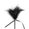 Cravache et Plumeau Secret Touch 50cm Noir