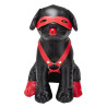Chien en Simili Bandit 24cm Noir