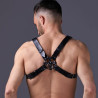 Harnais avec Laisse Harneep Noir