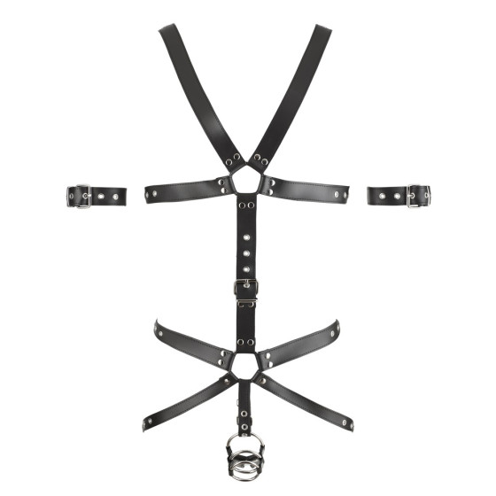 Harnais complet en cuir Zado Noir