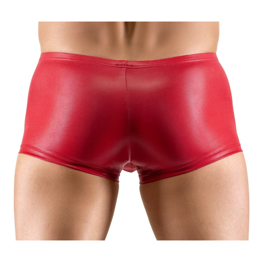 Boxer Terio Rouge